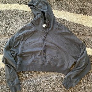 Alo Cropped Double Take Hoodie